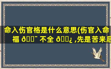 命入伤官格是什么意思(伤官入命福 🐯 不全 🌿 ,先是苦来后才甜)
